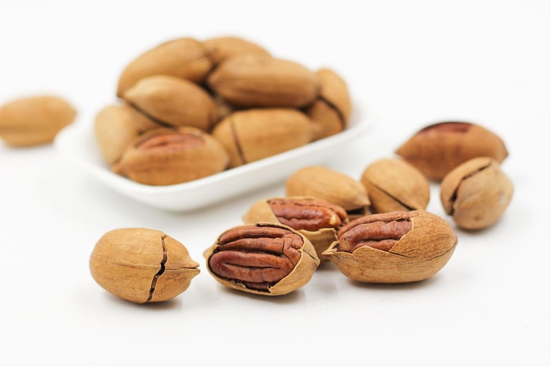Protein Power